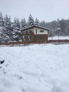 House nesr Forest